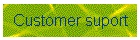 Customer suport