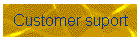 Customer suport